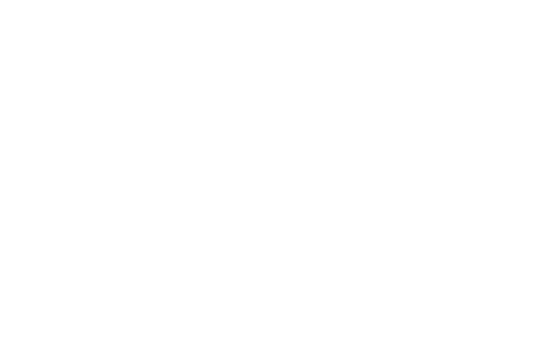 CBN Logística Logo
